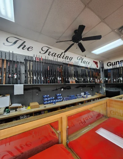 A long wall display of various rifles and shotguns behind a wooden shop counter.